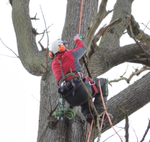 capture d'écran 2026 03 14 010055