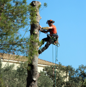 capture d'écran 2026 03 14 010109