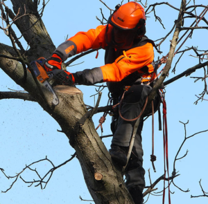 capture d'écran 2026 03 14 010129